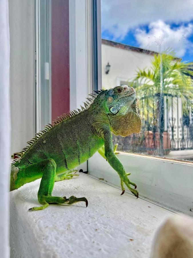 Vc Beach Suites Isla Mujeres Bagian luar foto